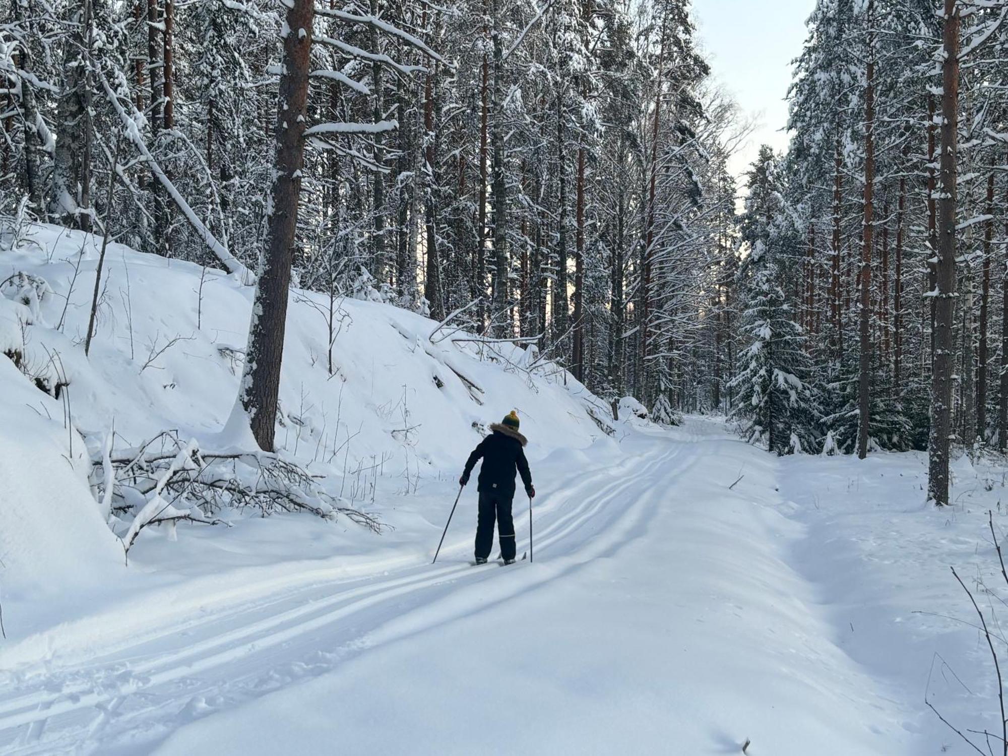 Tarula Holiday Home Melkoniemi Екстериор снимка